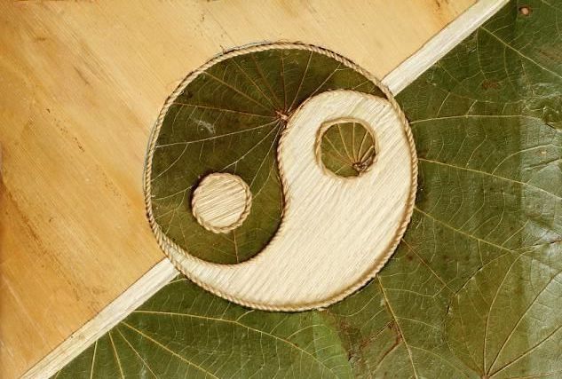 Yin Yoga: Khi thực hành yoga trở thành một bài thiền